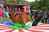 120624_083_parkpop_zuiderpark_denhaag_partymania_2