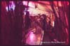 130412_141_opening_habana_beach_kijkduin_partymania