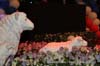 130420_208_nah_paardvantroje_denhaag_partymania