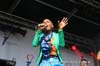 130505_120_bevrijdingsfestival_denhaag_partymania