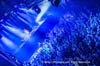 130518_129_armin_van_buuren_paardvantroje_denhaag_partymania