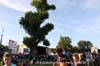 130630_112_parkpop_zuiderpark_denhaag_partymania