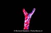 130928_28_todaysart_denhaag_richard_kanters_partymania