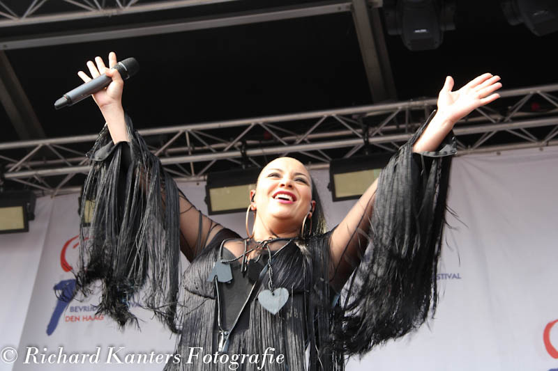 140505_bevrijdingsfestival_denhaag_richard_kanters_fotografie_partymania-133